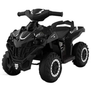 CARRO MONTABLE PILA RECARGABLE CON CONTROL REMOTO