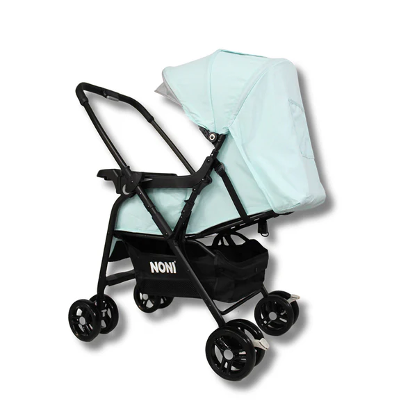 CARRIOLA ANGELIN REVERSIBLE TURQUESA - Imagen 2